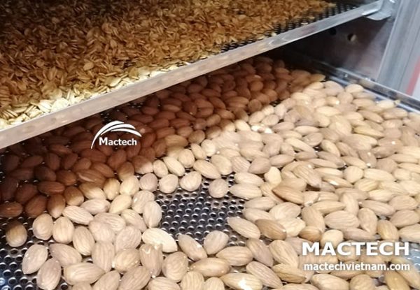 Máy sấy hạt hạnh nhân Mactech
