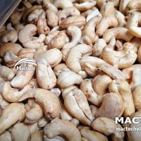 Máy sấy hạt điều Mactech Việt Nam