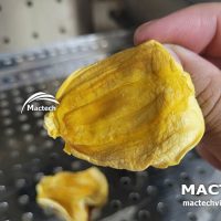 Máy sấy nhiệt mít dẻo Mactech