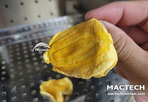 Máy sấy nhiệt mít dẻo Mactech