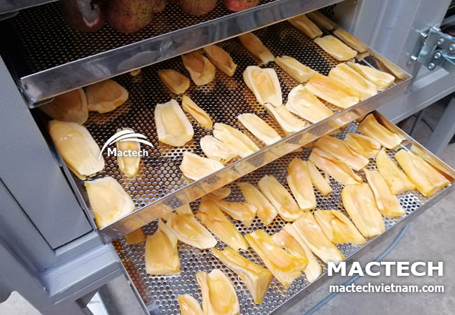 Máy sấy nhiệt mít dẻo Mactech