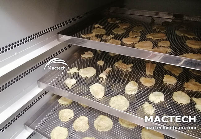 Máy sấy sâm khoai Mactech
