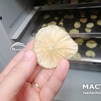 Máy sấy sâm khoai Mactech