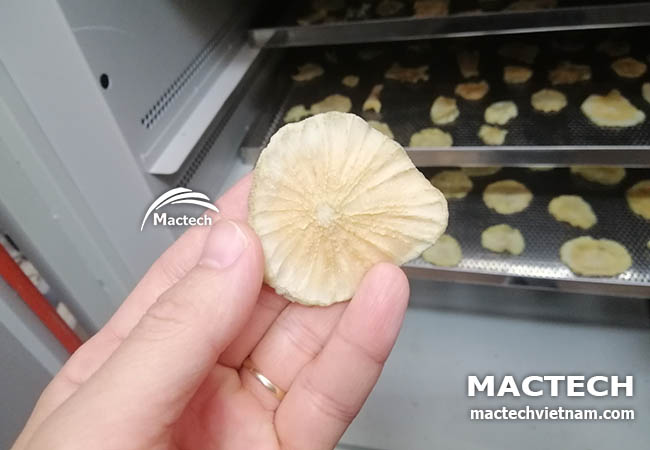 Máy sấy sâm khoai Mactech