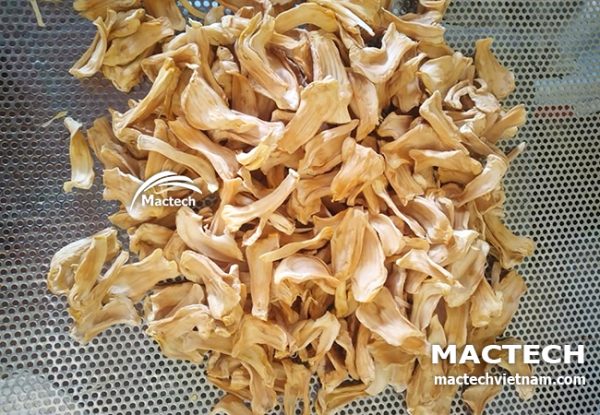 Máy sấy lạnh mít dẻo Mactech