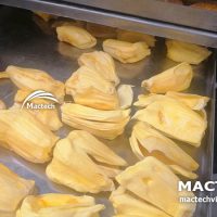 Máy sấy thăng hoa mít Mactech