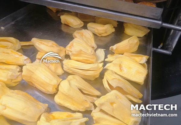 Máy sấy thăng hoa mít Mactech