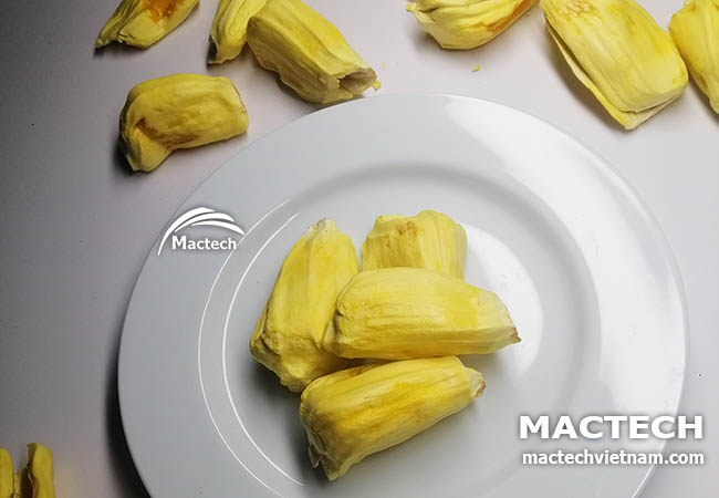 Máy sấy thăng hoa mít Mactech