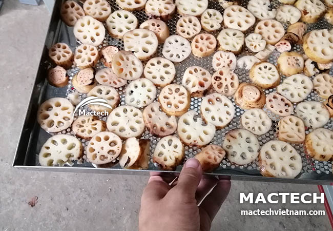 Máy sấy nhiệt củ sen Mactech