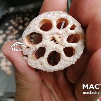 Máy sấy nhiệt củ sen Mactech
