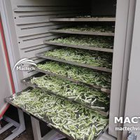 Máy sấy lạnh dọc mùng Mactech