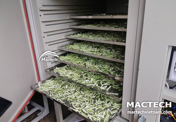Máy sấy lạnh dọc mùng Mactech
