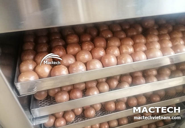 Máy sấy hạt macca Mactech