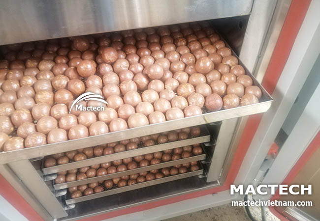 Máy sấy hạt macca Mactech