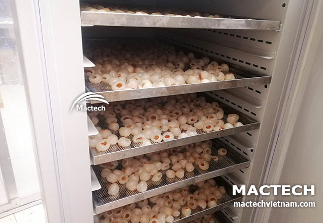 Máy sấy long vải Mactech