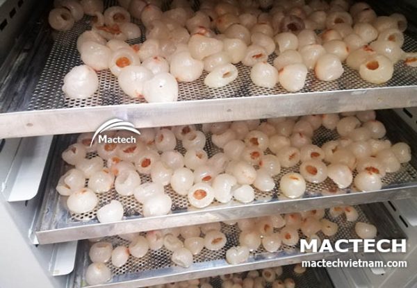 Máy sấy long vải Mactech