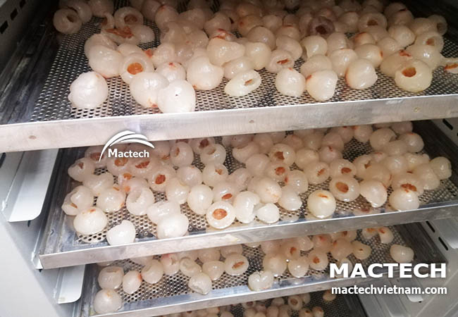 Máy sấy long vải Mactech
