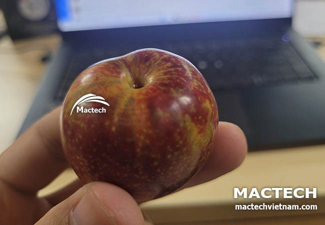Máy sấy mận dẻo Mactech