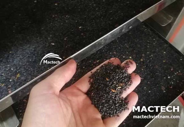 Máy sấy hạt vừng (mè) Mactech