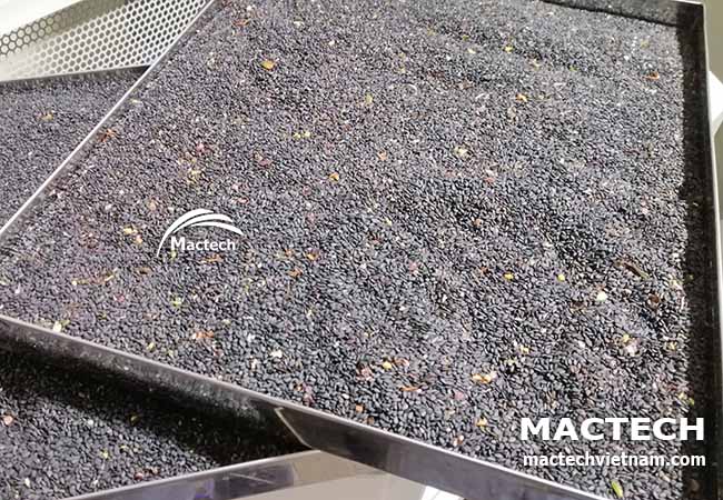 Máy sấy hạt vừng (mè) Mactech