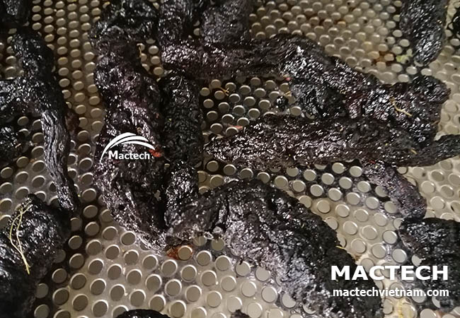 Máy sấy thục địa Mactech