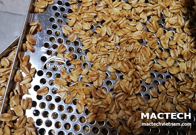 Máy sấy hạt yến mạch Mactech