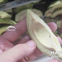 Máy sấy thăng hoa bơ Mactech