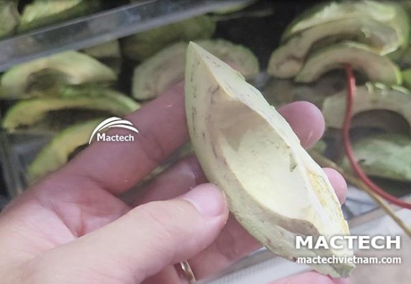 Máy sấy thăng hoa bơ Mactech