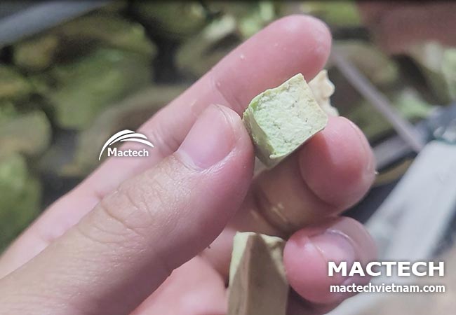 Máy sấy thăng hoa bơ Mactech