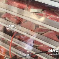 Máy sấy thăng hoa dưa hấu Mactech