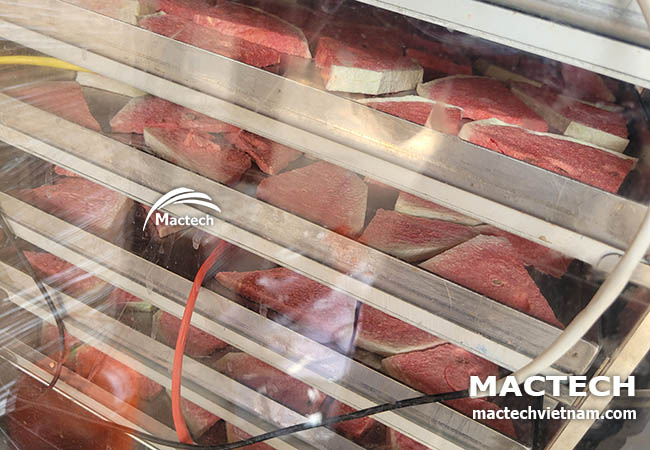 Máy sấy thăng hoa dưa hấu Mactech