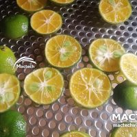 Máy sấy quả quất Mactech