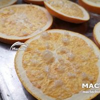 Máy sấy thăng hoa quả cam Mactech