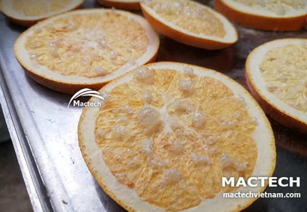 Máy sấy thăng hoa quả cam Mactech