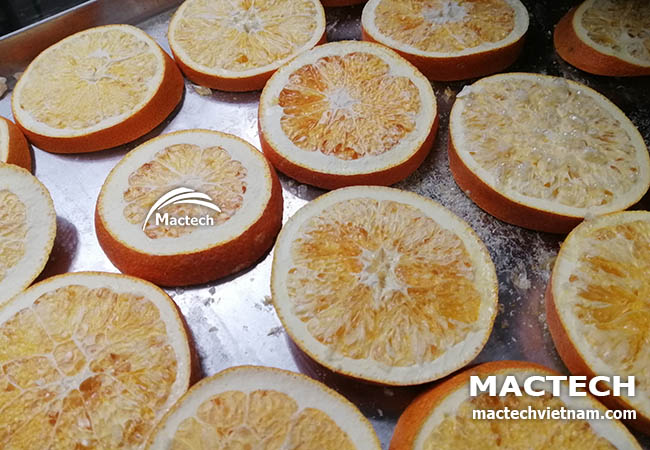Máy sấy thăng hoa quả cam Mactech