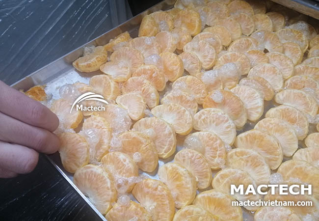 Máy sấy thăng hoa quả cam Mactech