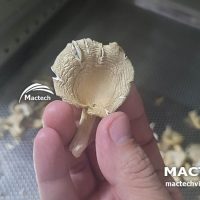 Máy sấy nấm sò Mactech