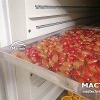 Máy sấy nho khô Mactech