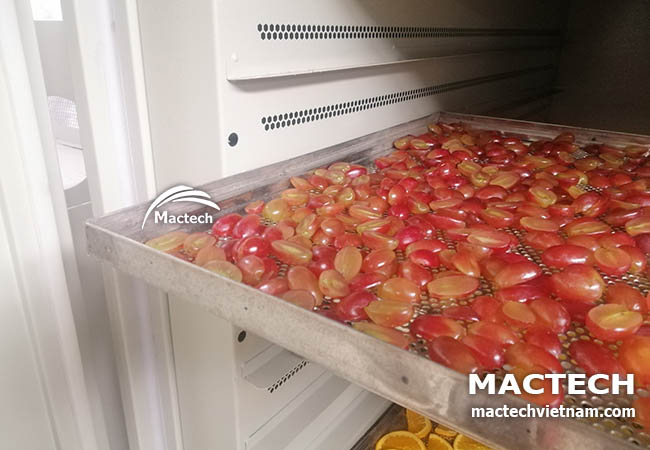 Máy sấy nho khô Mactech
