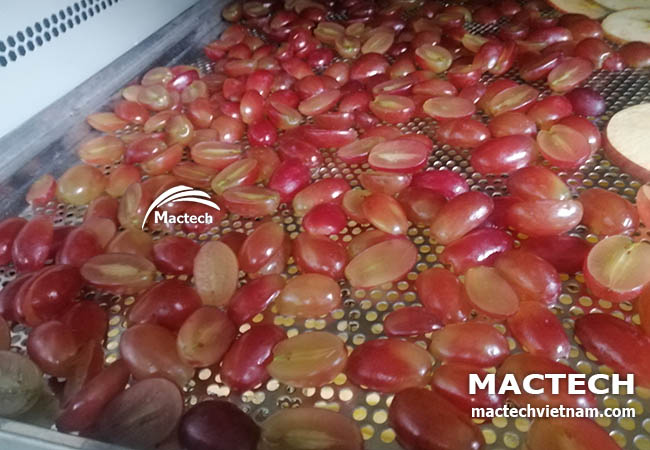 Máy sấy nho khô Mactech