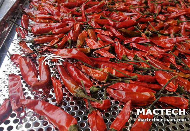 Máy sấy quả ớt Mactech
