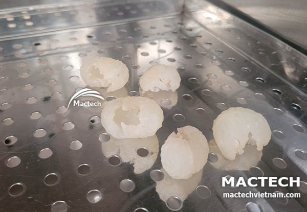 Máy sấy long nhãn khô Mactech