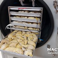 Máy sấy thăng hoa sầu riêng Mactech