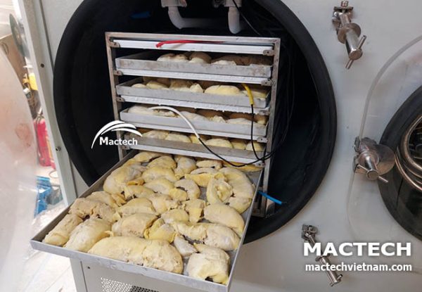 Máy sấy thăng hoa sầu riêng Mactech