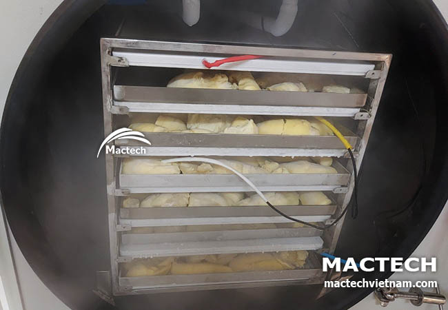 Máy sấy thăng hoa sầu riêng Mactech