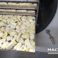 Máy sấy thăng hoa sầu riêng Mactech
