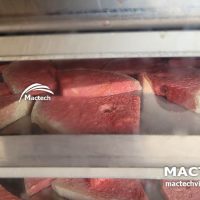 Máy sấy thăng hoa dưa hấu Mactech
