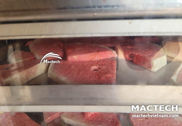 Máy sấy thăng hoa dưa hấu Mactech