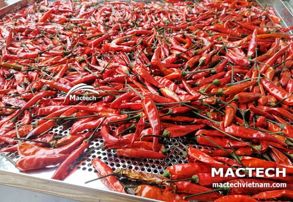 Máy sấy quả ớt Mactech