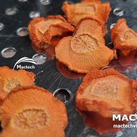 Máy sấy cà rốt Mactech